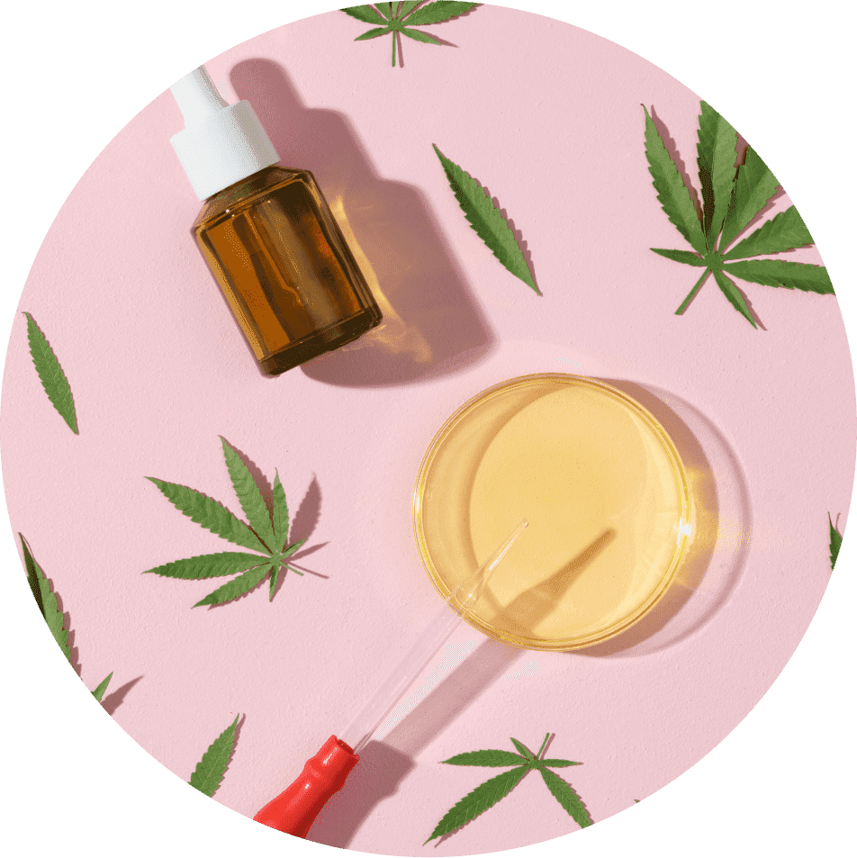 Cannabis leaves and oils displayed on a pink background
